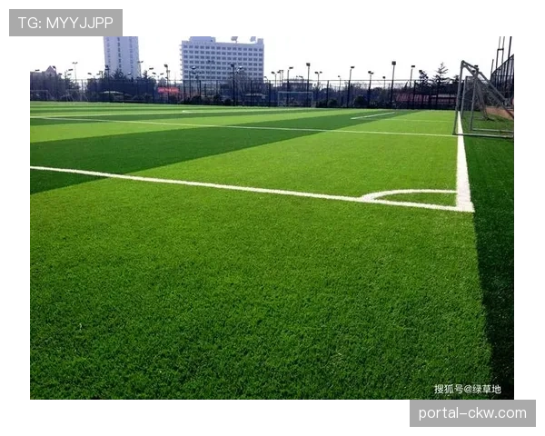 温布利球场启动2026年足总杯决赛草皮养护特别计划