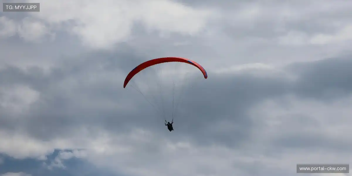 📺 一键回看名场面，精彩瞬间反复品味！🔁